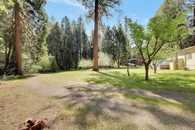 138 Big Fir Road, Forbestown, CA 95941 - Photo 48