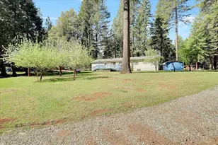 138 Big Fir Rd, Forbestown, CA 95941 - Photo 46