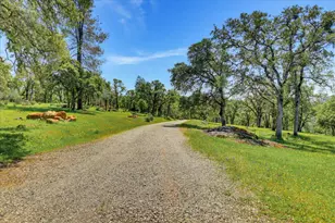8877 Dutch Flat Trail, Smartsville, CA 95977 - Photo 46