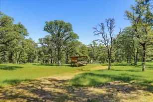 8877 Dutch Flat Trail, Smartsville, CA 95977 - Photo 30