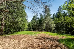 202 Gold Flat Rd, Nevada City, CA 95959 - Photo 1