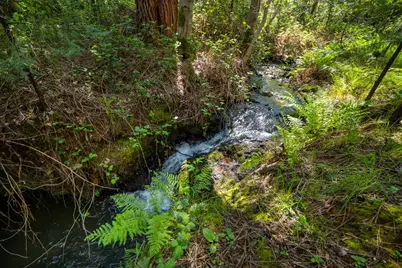 202 Gold Flat Road, Nevada City, CA 95959 - Photo 18