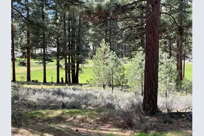 0 N 5th Street, Portola, CA 06122 - Photo 6