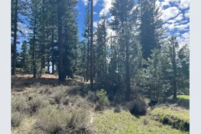 0 N 5th Street, Portola, CA 06122 - Photo 4