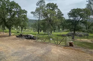 116 Bardolino Ln, Oroville, CA 95966 - Photo 30