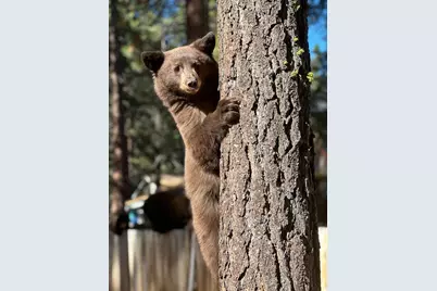 8681 Rainbow Avenue, Kings Beach, CA 96143 - Photo 16