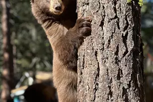 8681 Rainbow Ave, Kings Beach, CA 96143 - Photo 16