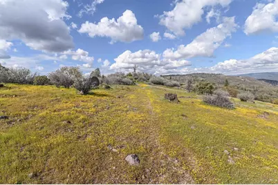 1 Pennsylvania Gulch Road, Murphys, CA 95247 - Photo 16