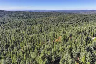 5060 Chestnut Ct, Georgetown, CA 95634 - Photo 64