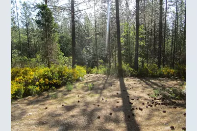 15699 Tyler Foote Road, Nevada City, CA 95959 - Photo 6