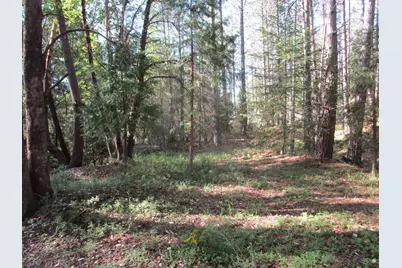 15699 Tyler Foote Road, Nevada City, CA 95959 - Photo 16