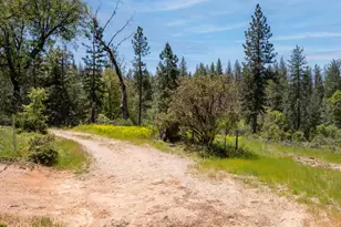 5199 Lone Star Rd, Wilseyville, CA 95257 - Photo 1