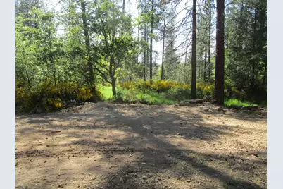 16289 Badger Hill Road, Nevada City, CA 95959 - Photo 4