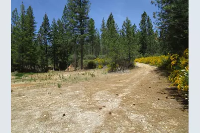 15699 Tyler Foote Road, Nevada City, CA 95959 - Photo 14