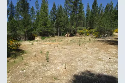 15699 Tyler Foote Road, Nevada City, CA 95959 - Photo 24