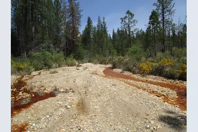 15699 Tyler Foote Road, Nevada City, CA 95959 - Photo 10