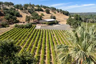 2840 Delmar Ave, Loomis, CA 95650 - Photo 4