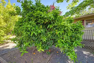 3582 Bell Rd, Auburn, CA 95603 - Photo 56