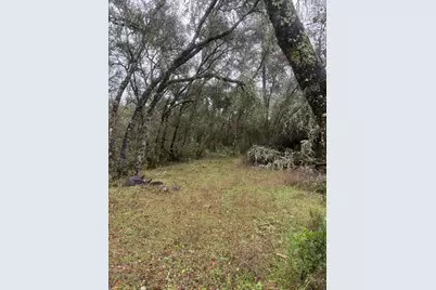 3200 Bird Haven Loop, Cool, CA 95614 - Photo 24