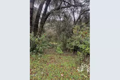 3200 Bird Haven Loop, Cool, CA 95614 - Photo 16