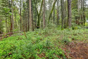17900 Lightfoot Way, Nevada City, CA 95959 - Photo 60