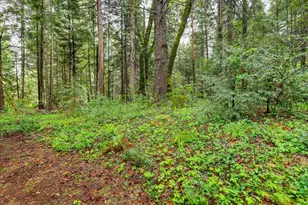 17900 Lightfoot Way, Nevada City, CA 95959 - Photo 62