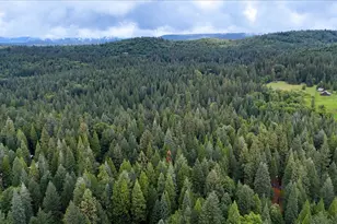 17900 Lightfoot Way, Nevada City, CA 95959 - Photo 84
