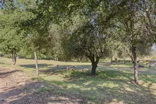 3117 Garden Bar Rd, Lincoln, CA 95648 - Photo 36