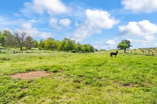 20865 Shenandoah School Rd, Plymouth, CA 95669 - Photo 50