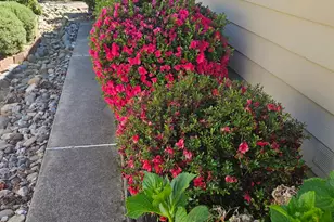 Nugget Dr, Folsom, CA 95630 - Photo 6