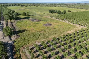 11270 Craig Rd, Live Oak, CA 95953 - Photo 76