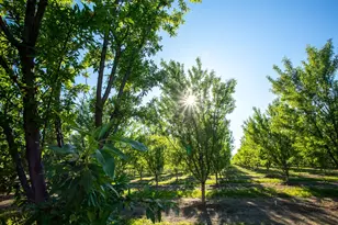 11270 Craig Rd, Live Oak, CA 95953 - Photo 82