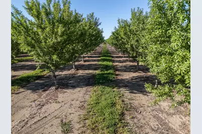 11270 Craig Road, Live Oak, CA 95953 - Photo 74