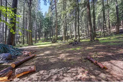 4580 Jenkinson Circle, Pollock Pines, CA 95726 - Photo 62