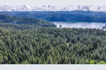 4580 Jenkinson Circle, Pollock Pines, CA 95726 - Photo 76