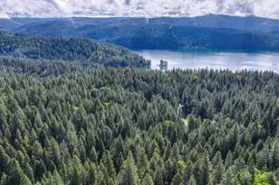 4580 Jenkinson Cir, Pollock Pines, CA 95726 - Photo 76