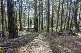 4580 Jenkinson Cir, Pollock Pines, CA 95726 - Photo 54