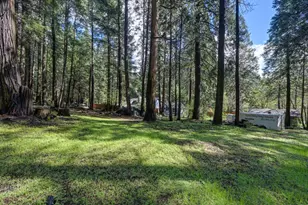 4580 Jenkinson Cir, Pollock Pines, CA 95726 - Photo 58