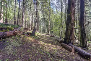 4580 Jenkinson Cir, Pollock Pines, CA 95726 - Photo 52