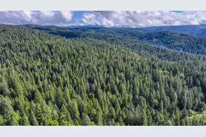 4580 Jenkinson Circle, Pollock Pines, CA 95726 - Photo 78