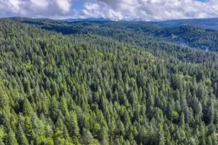 4580 Jenkinson Cir, Pollock Pines, CA 95726 - Photo 78