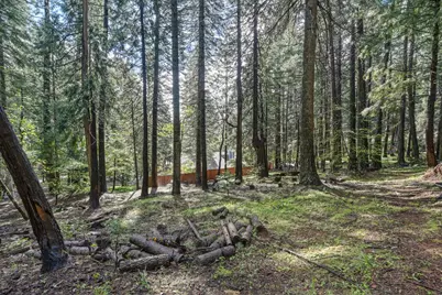 4580 Jenkinson Circle, Pollock Pines, CA 95726 - Photo 50