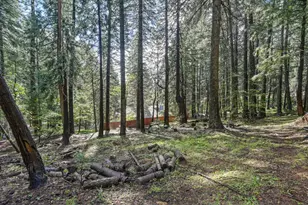 4580 Jenkinson Cir, Pollock Pines, CA 95726 - Photo 50