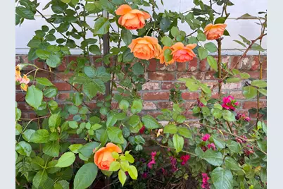 7654 Baird Way, Citrus Heights, CA 95610 - Photo 42