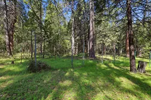 17889 Douglas Rd, Nevada City, CA 95959 - Photo 54