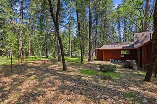 17889 Douglas Rd, Nevada City, CA 95959 - Photo 66