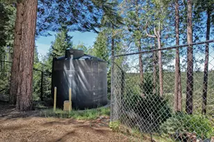 19015 E Pine Dr, Pioneer, CA 95666 - Photo 80