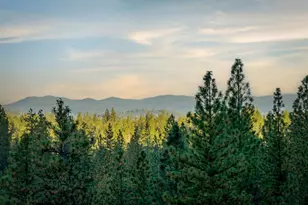 15682 Dream Sky Wy, Nevada City, CA 95959 - Photo 64