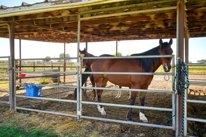 12518 Lone Oak Road, Waterford, CA 95386 - Photo 38