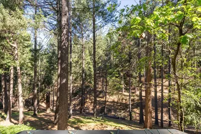 5671 Sierra Springs Drive, Pollock Pines, CA 95726 - Photo 10